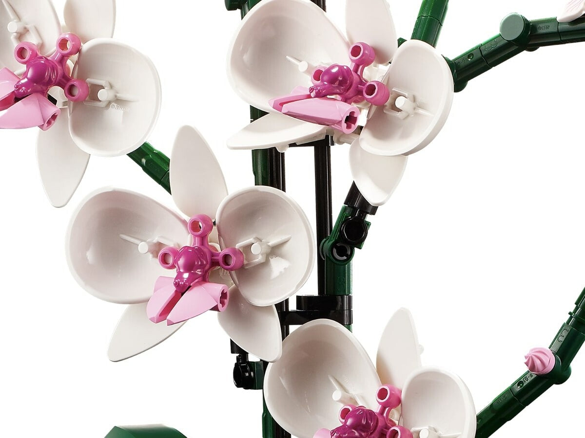 Compatible - 10311 - Orchids - 608 Pieces
