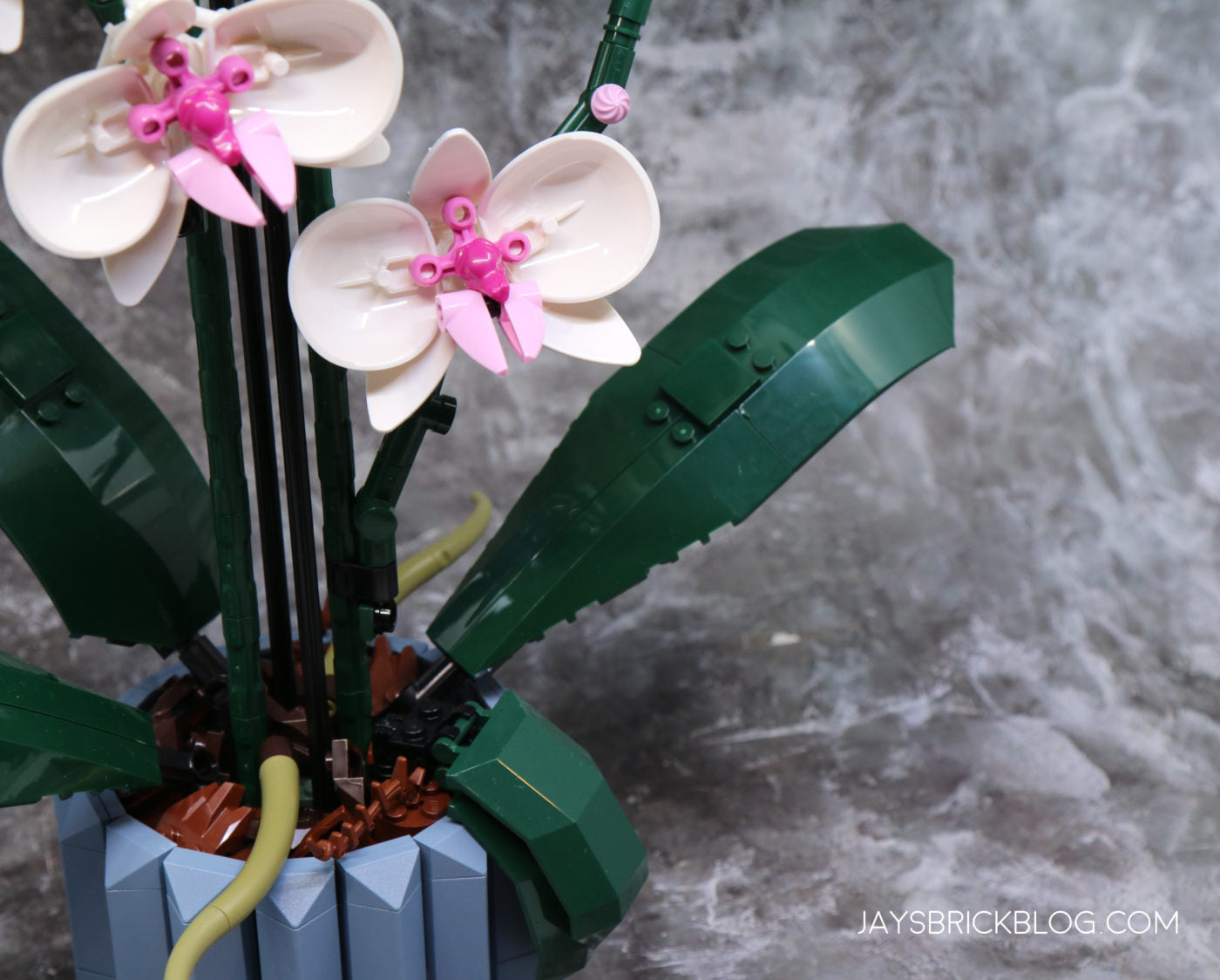 Compatible - 10311 - Orchids - 608 Pieces