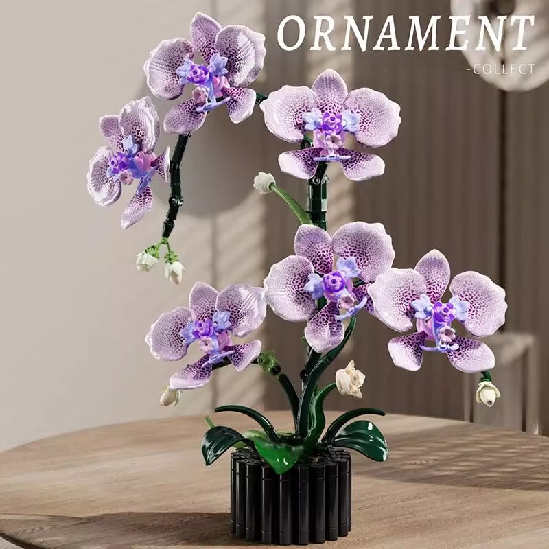MJI - 13115 - Phalaenopsis - 619 Pieces