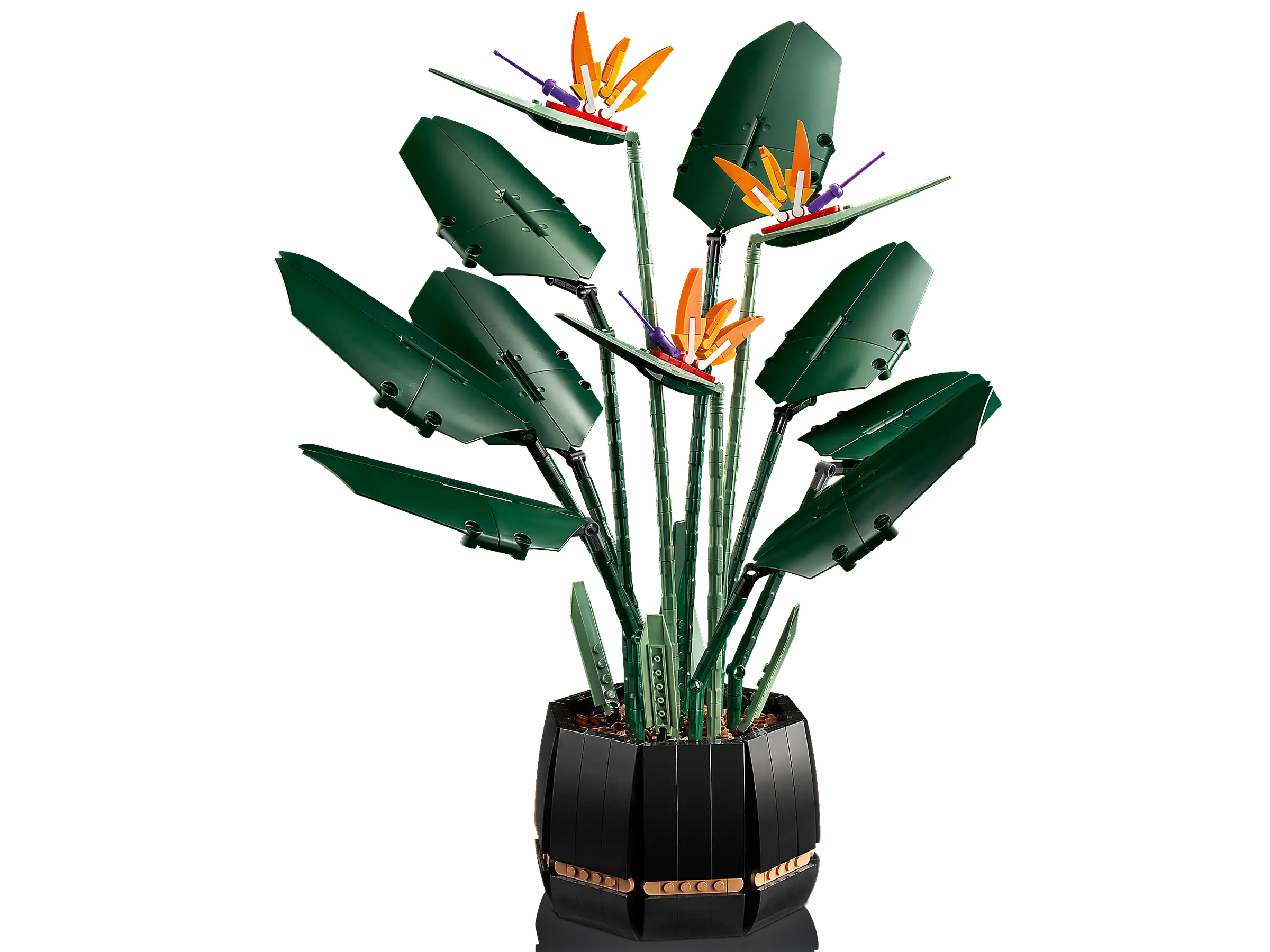 Compatible - Botanicals - 10289 - Bird of Paradise - 1173 Pieces