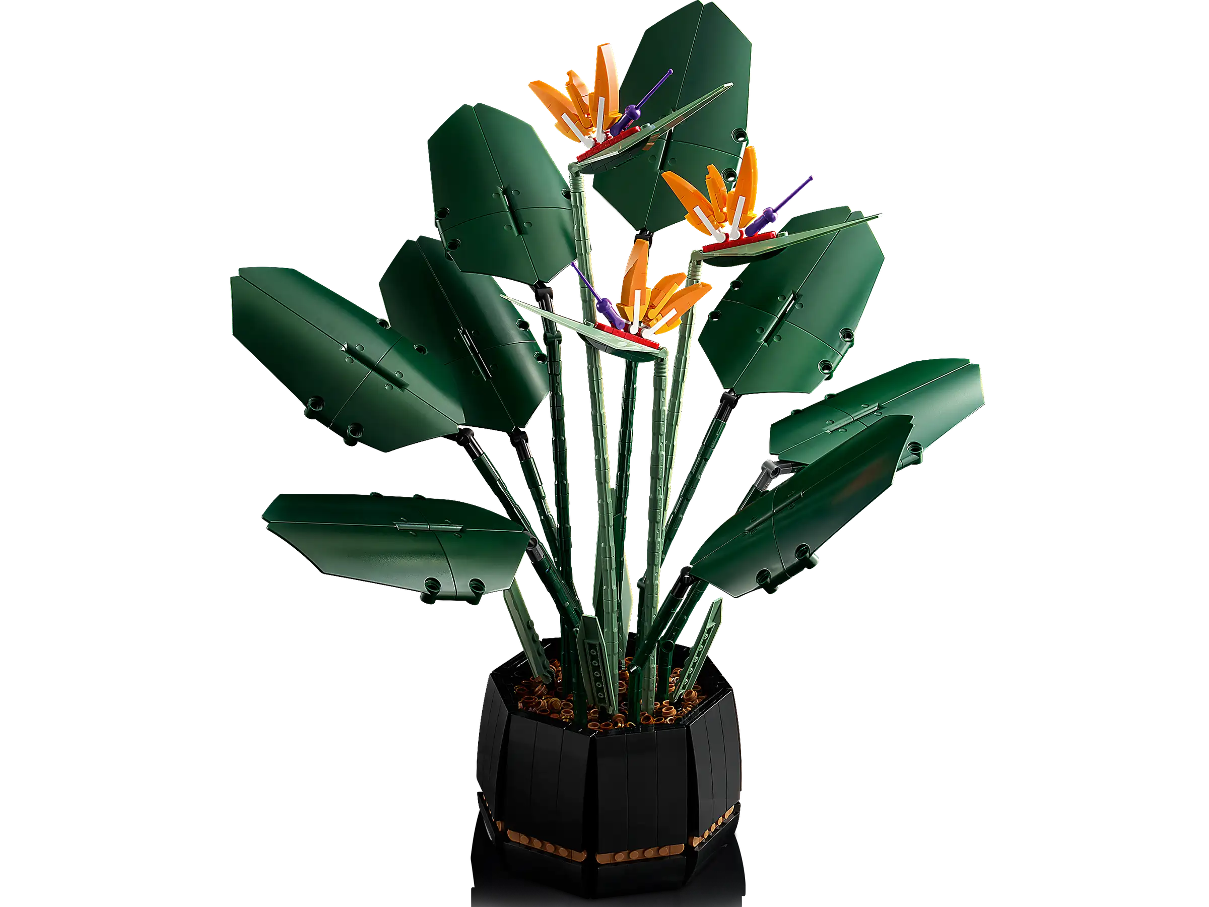 Compatible - Botanicals - 10289 - Bird of Paradise - 1173 Pieces