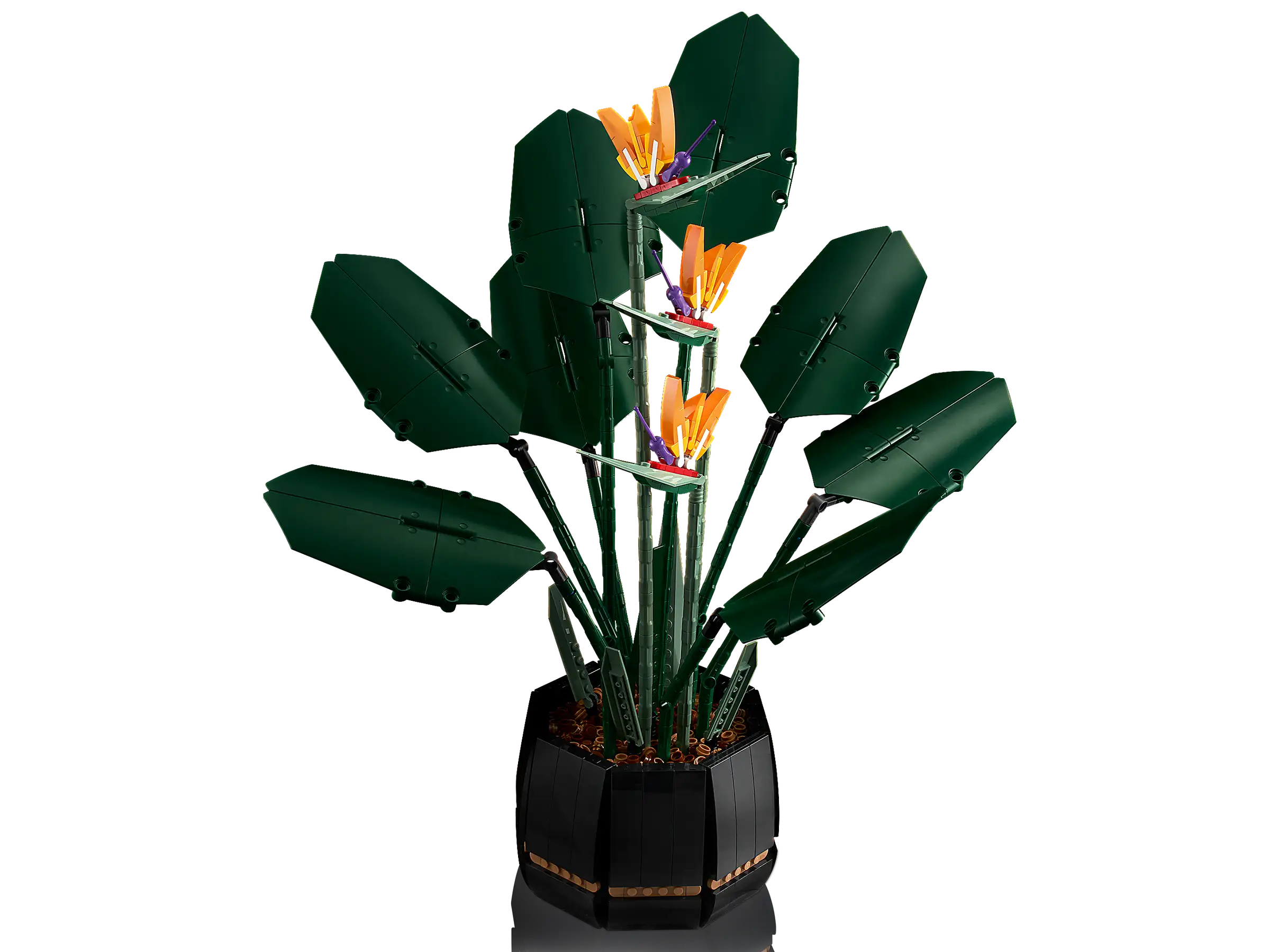 Compatible - Botanicals - 10289 - Bird of Paradise - 1173 Pieces