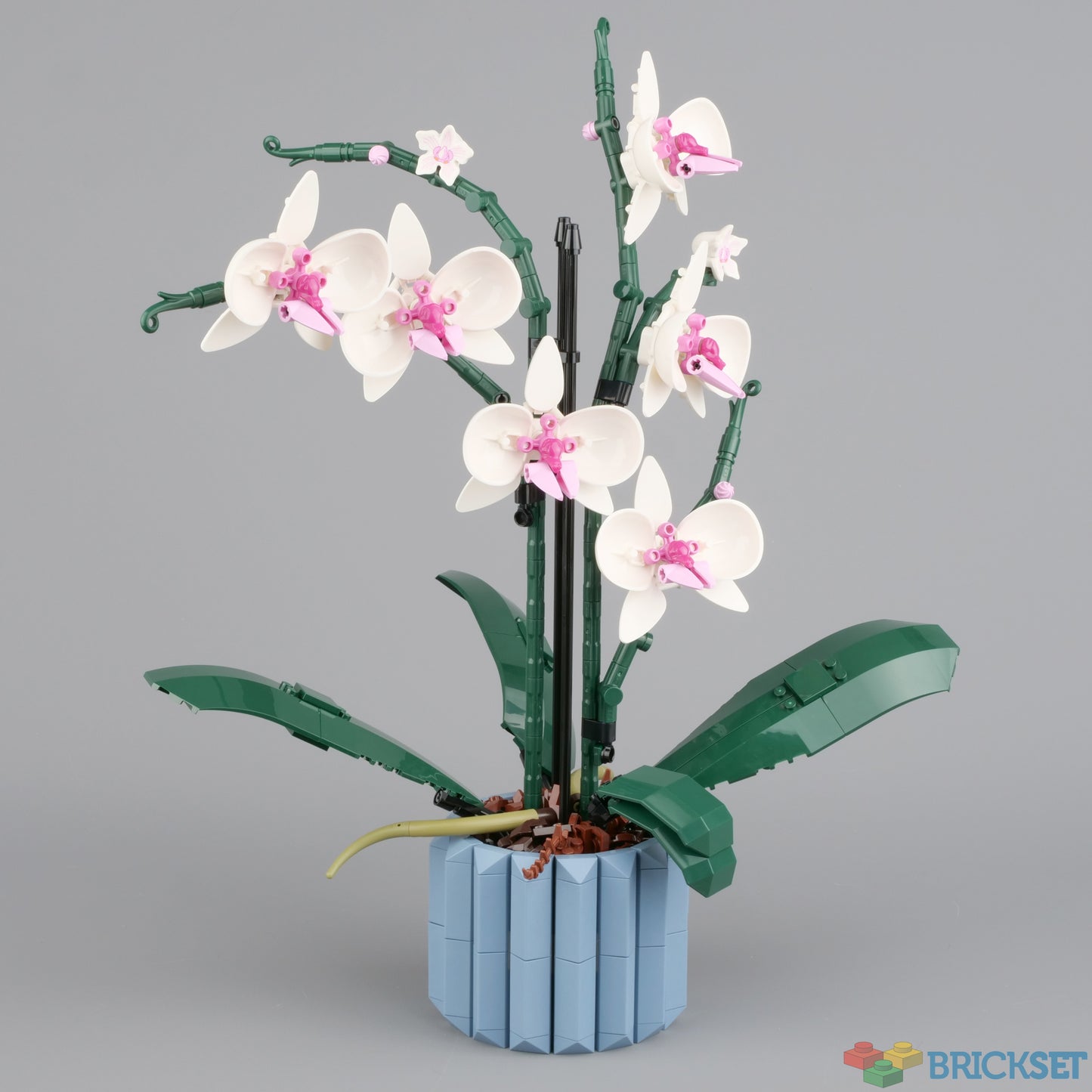 Compatible Orchid Building Blocks