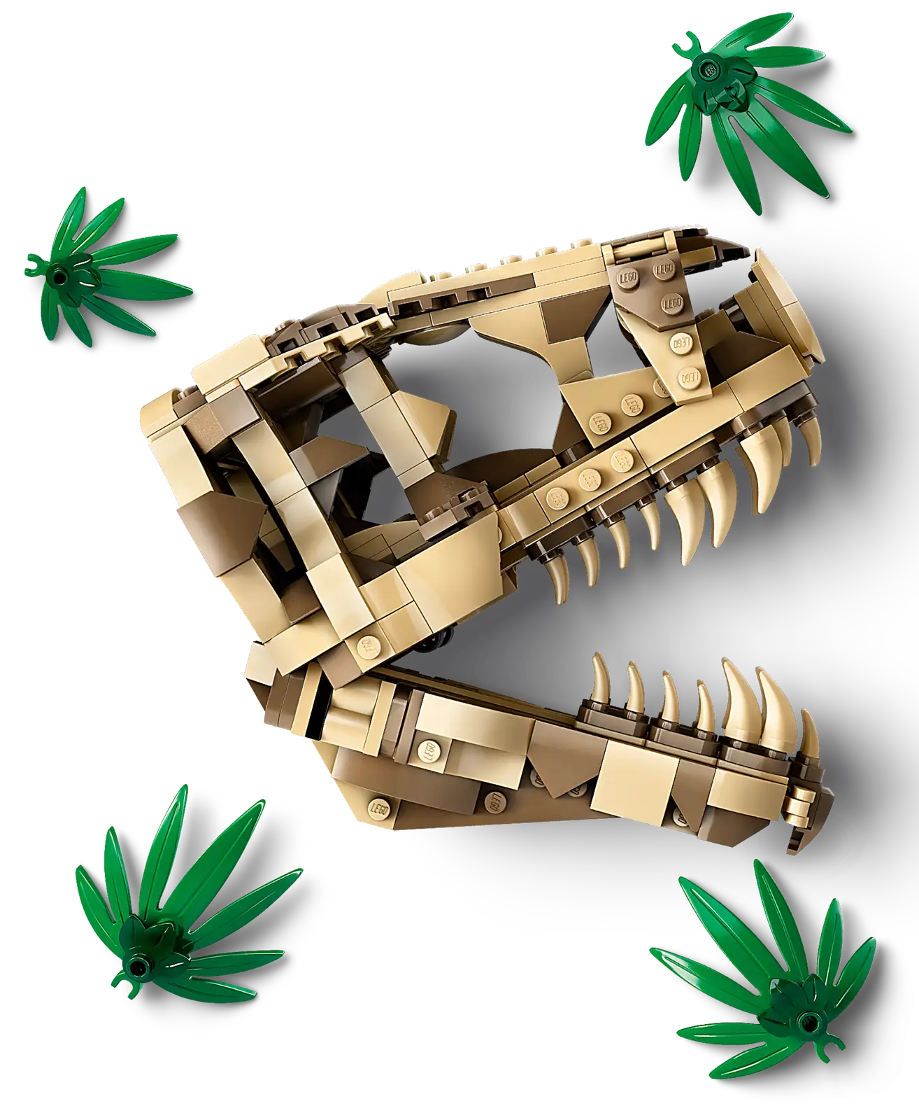 Compatible - Jurassic World - 76964 - T. rex Dinosaur Fossils: Skull - 577 Pieces