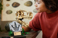 Compatible - Jurassic World - 76964 - T. rex Dinosaur Fossils: Skull - 577 Pieces