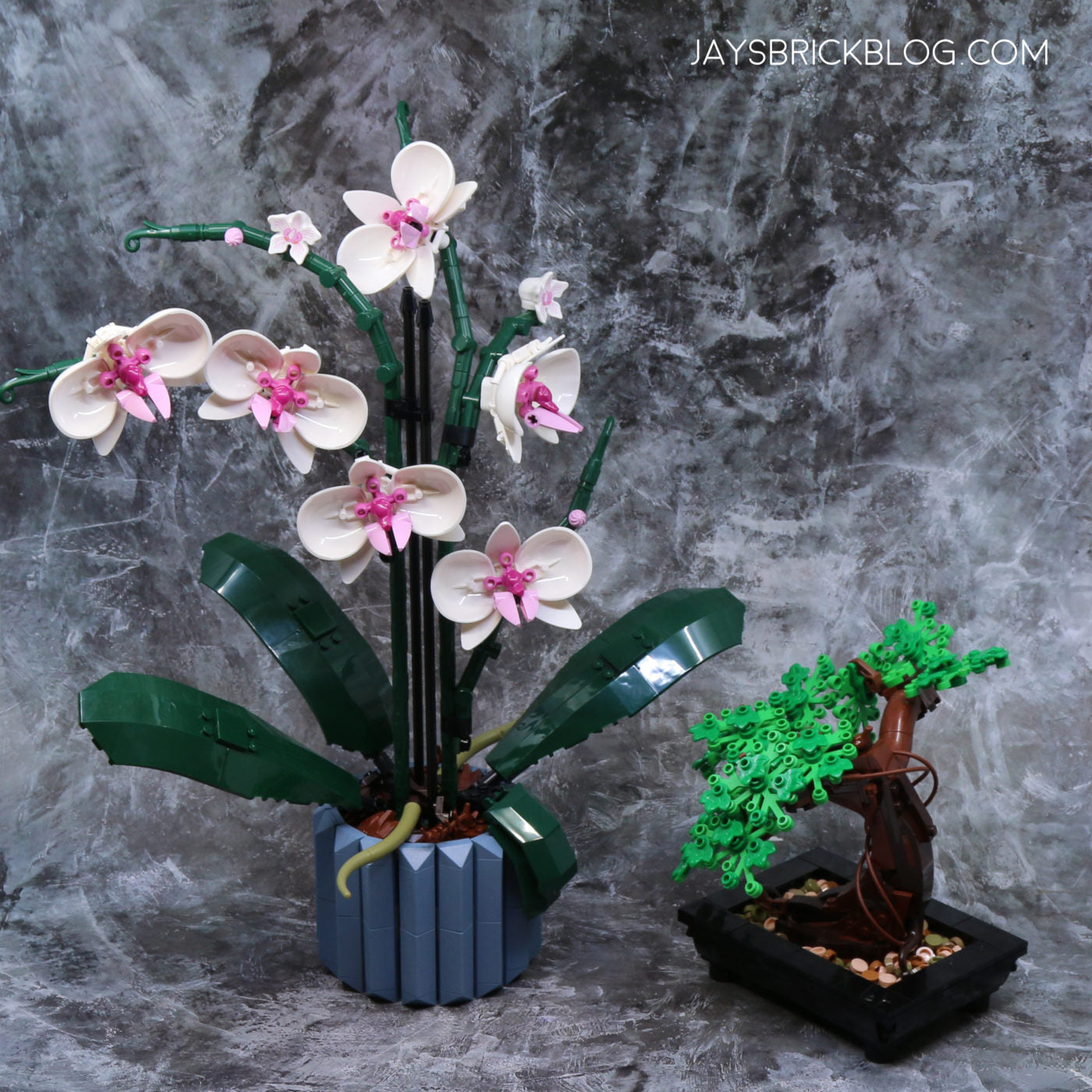 Compatible Orchid Building Blocks