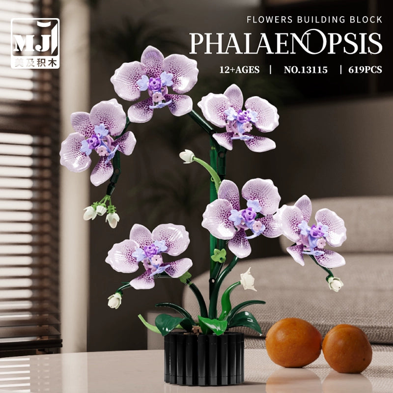 MJI - 13115 - Phalaenopsis - 619 Pieces