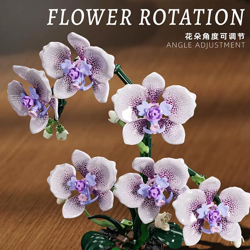 MJI - 13115 - Phalaenopsis - 619 Pieces