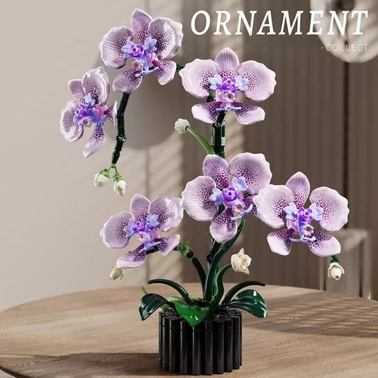 MJI - 13115 - Phalaenopsis - 619 Pieces
