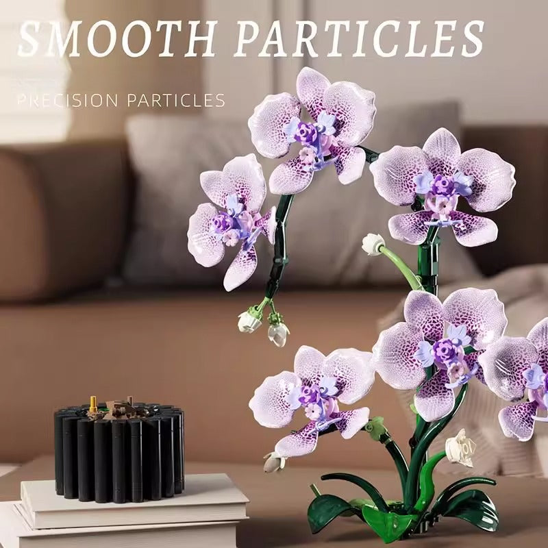 MJI - 13115 - Phalaenopsis - 619 Pieces
